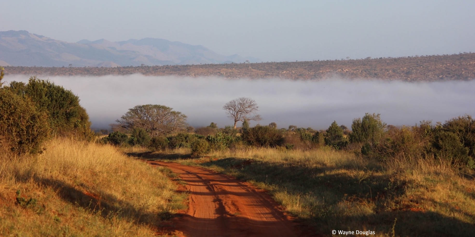 Voyage sur mesure au Kenya