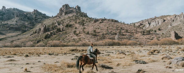 Voyage dans la Patagonie argentine