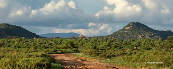 safari hors des sentiers battus dans le nord du Kenya