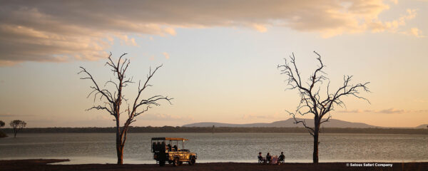 Safaris dans le sud de la Tanzanie