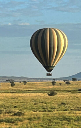 Expérience authentique d'un safari en montgolfière en Tanzanie