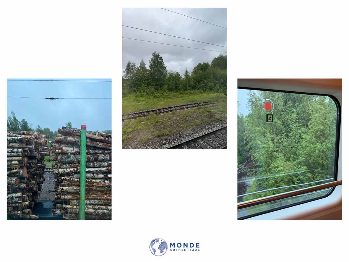 Paysages de Laponie depuis le Santa Claus Express - blog Monde Authentique