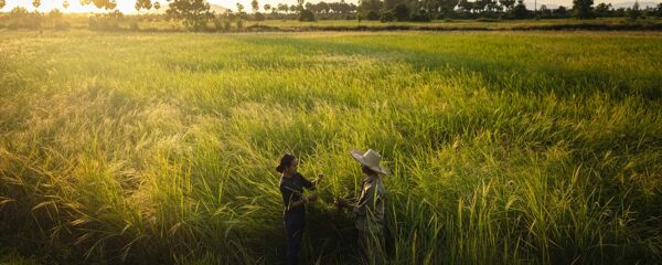 Voyage en famille au Cambodge - étape dans les rizières avec Monde Authentique