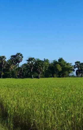 Découvrir Angkor hors des sentiers battus avec Monde Authentique - post de blog