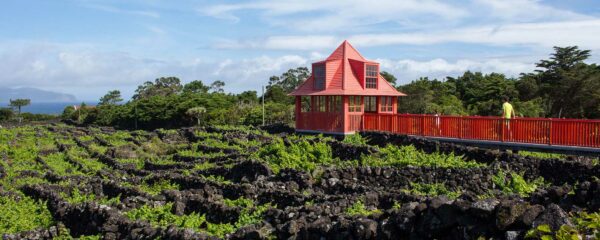 Voyage sur mesure aux Açores à la découverte de sa culture avec Monde Authentique