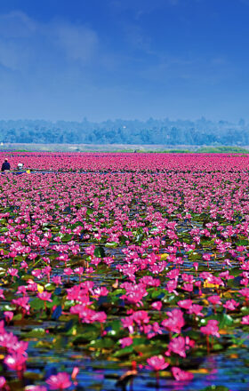 L'Isarn - découvrir la Thaïlande hors des sentiers battus avec Monde Authentique